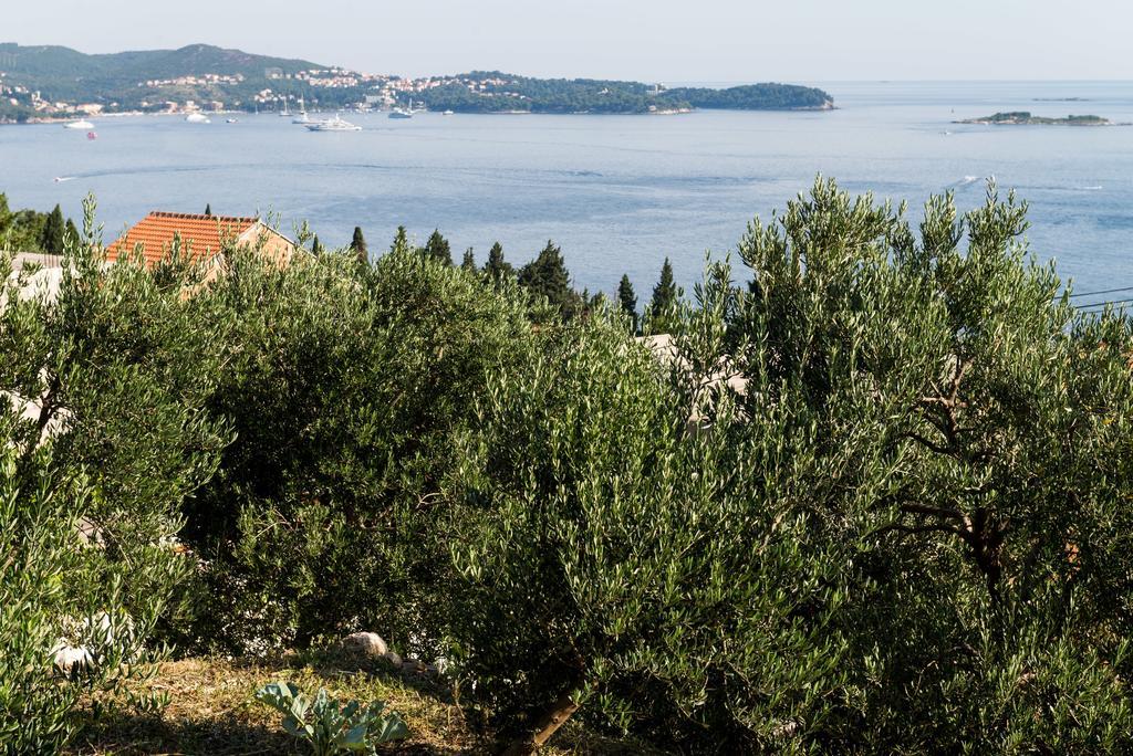 Apartments Olive Mlini Kültér fotó